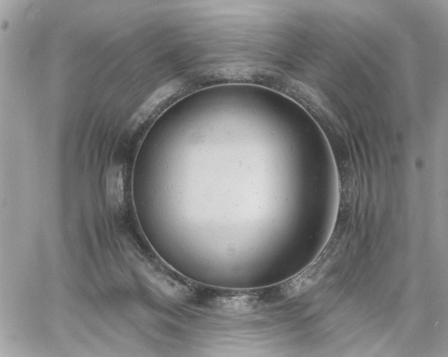 X0000061120120200511181124
