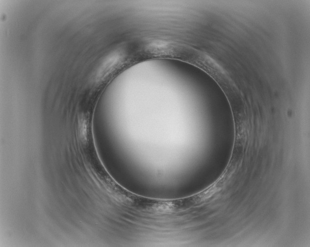 X0000061120124200511181124