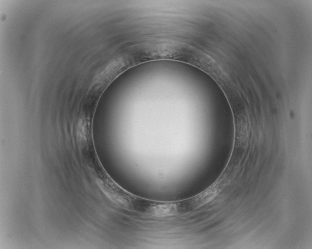X0000061120126200511181124