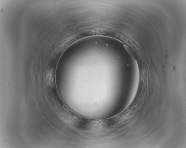 X0000061120127200511181124