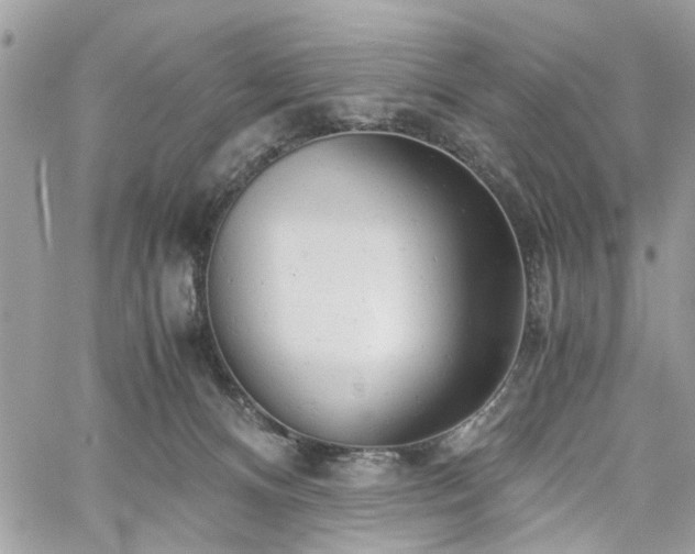 X0000061120128200511181124