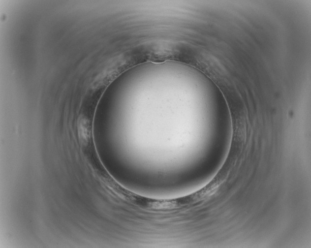 X0000061120135200511181124