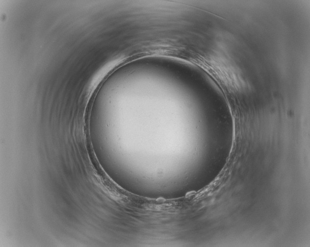 X0000061120147200511181123