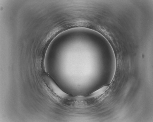 X0000061120154200511181123