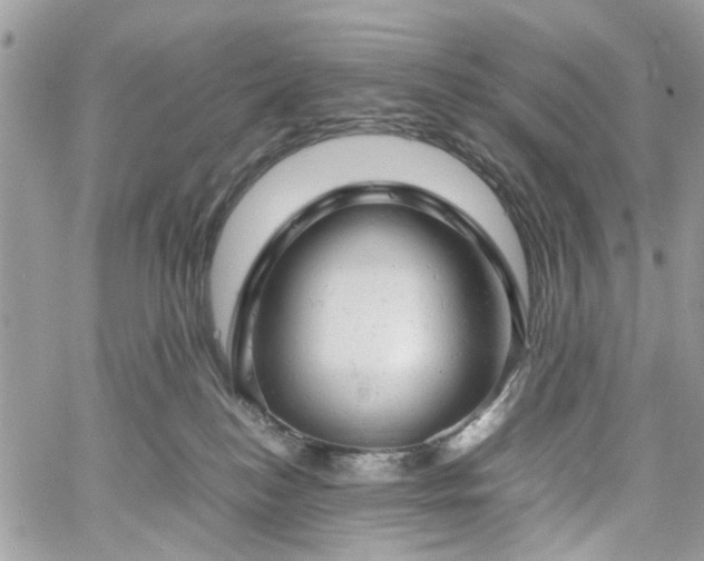 X0000061120184200511181123