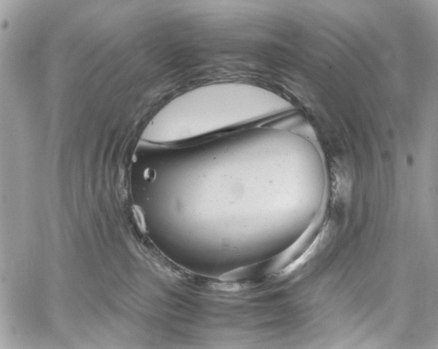 X0000061120187200511181123