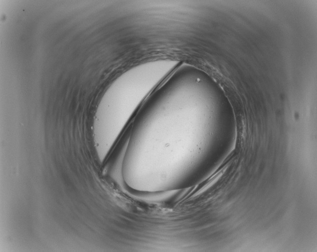 X0000061120276200511181122