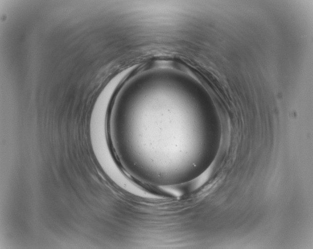 X0000061120288200511181122