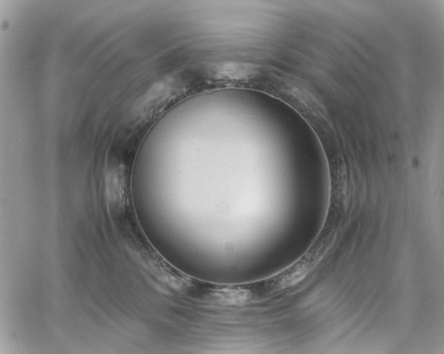 X0000061120328200511181121