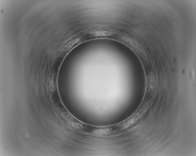 X0000061120422200511181119