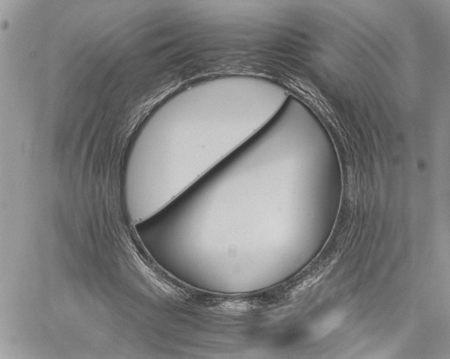 X0000061120441200511181118