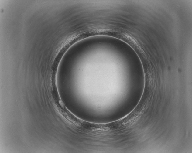 X0000061120447200511181118