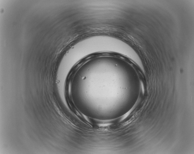 X0000061120456200511181118