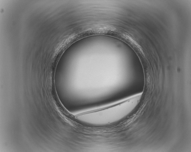 X0000061120493200511181118