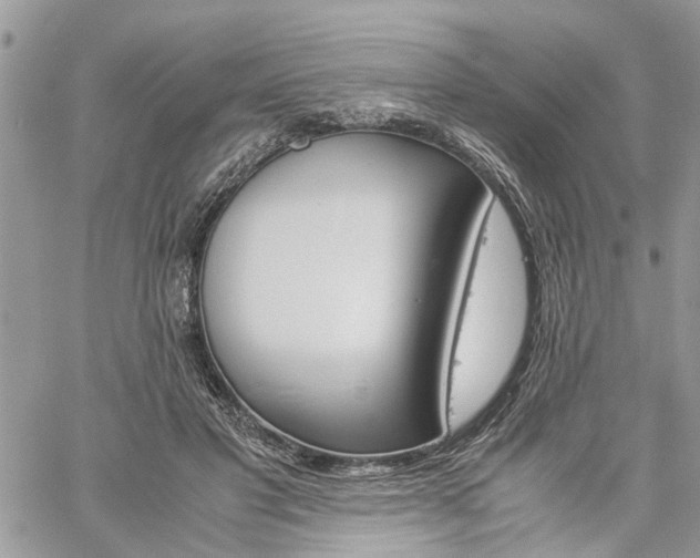 X0000061120501200511181118