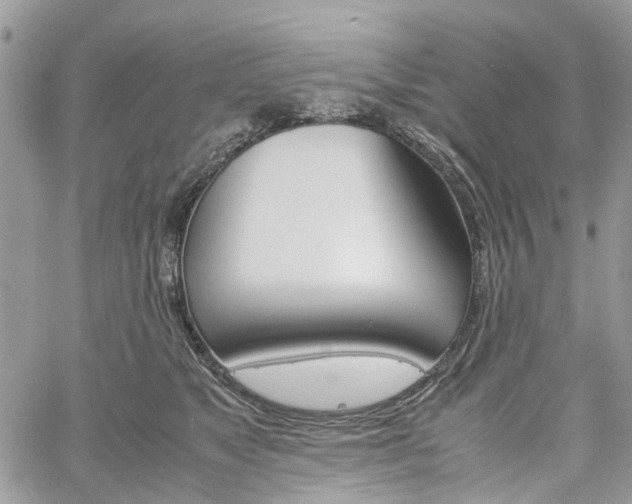 X0000061120517200511181117