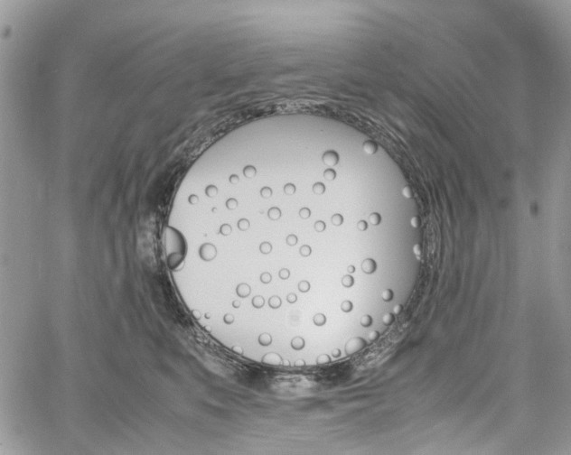 X0000061120519200511181117