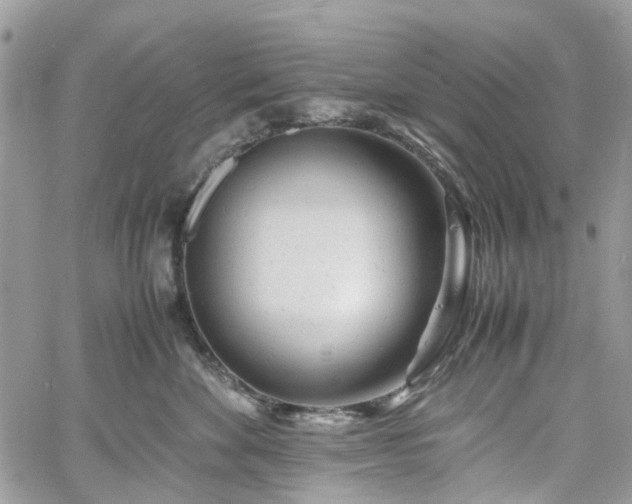 X0000061120524200511181117