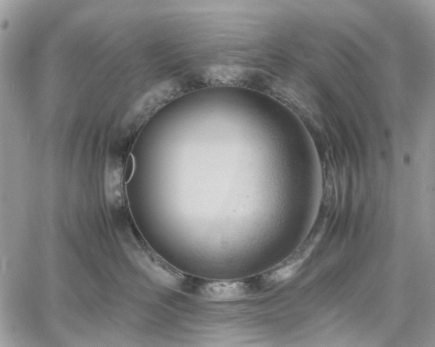 X0000061120526200511181117