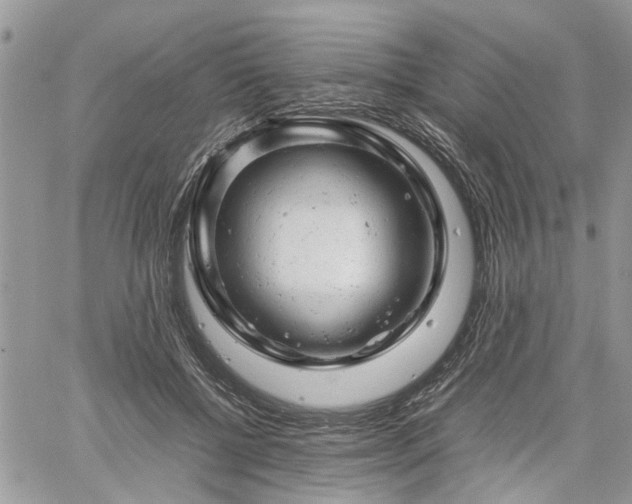 X0000061120552200511181117