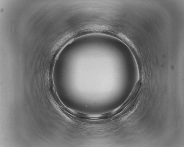 X0000061120581200511181116