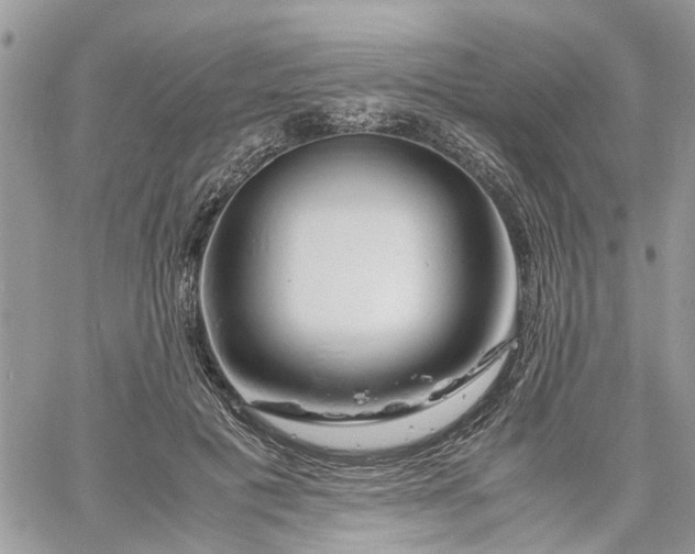 X0000061120601200511181116