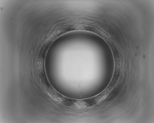 X0000061120603200511181116