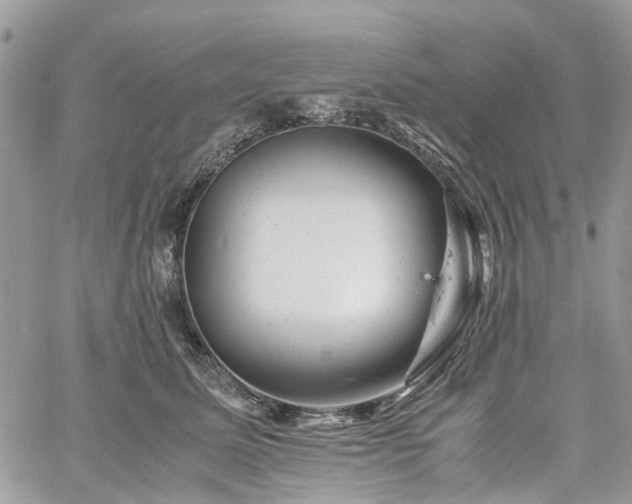 X0000061120611200511181116
