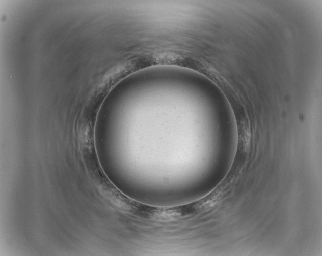 X0000061120619200511181116