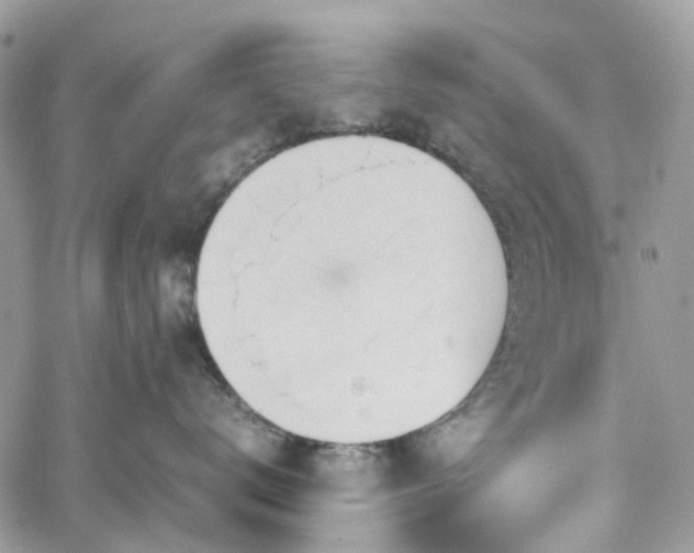 X0000061120672200511181116