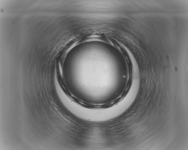 X0000061120748200511181114
