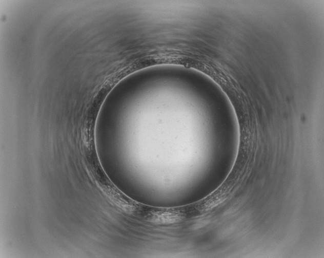 X0000061120755200511181114