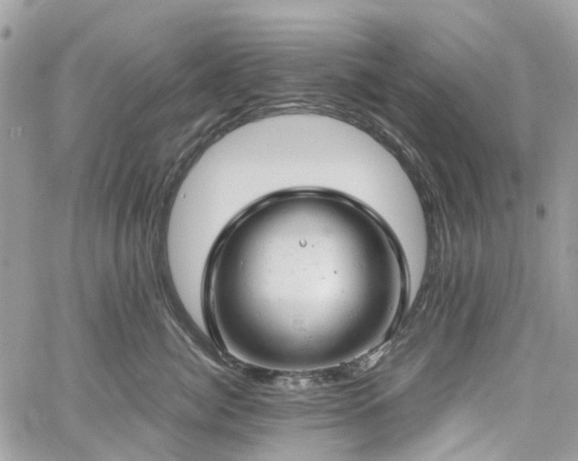 X0000061120764200511181114