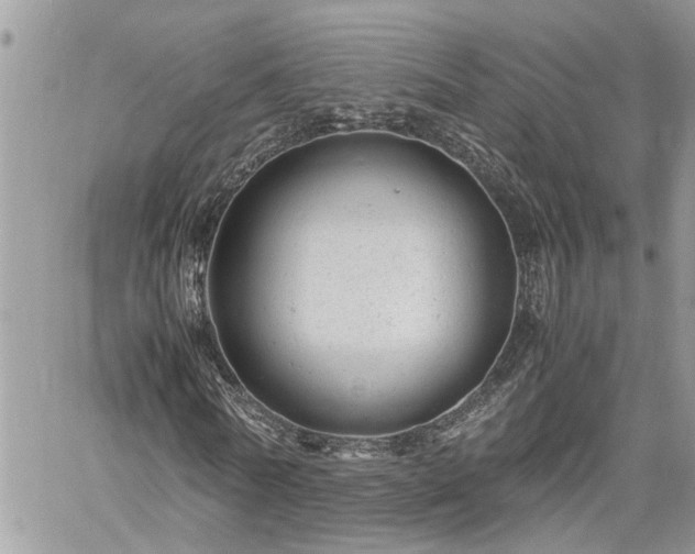 X0000061120770200511181113