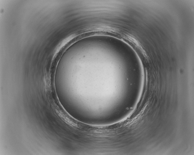 X0000061120780200511181113
