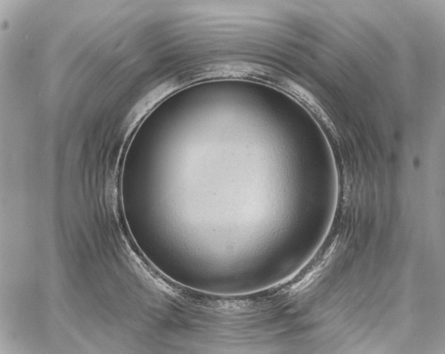 X0000061120802200511181113