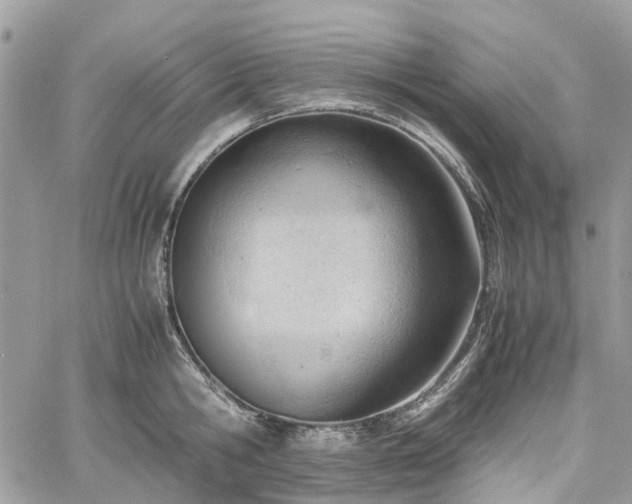 X0000061120806200511181113