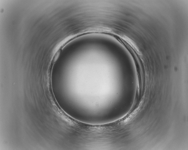 X0000061120854200511181112