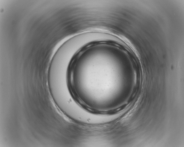 X0000061120862200511181113