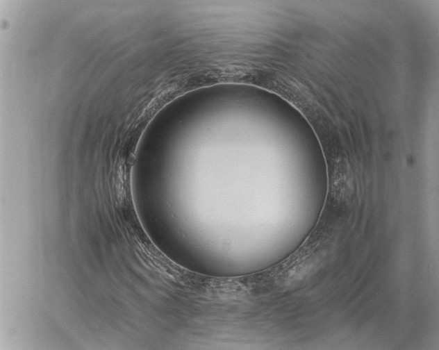 X0000061120866200511181112