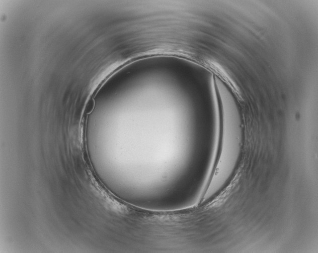 X0000061120900200511181111