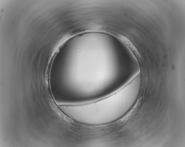 X0000061120908200511181111