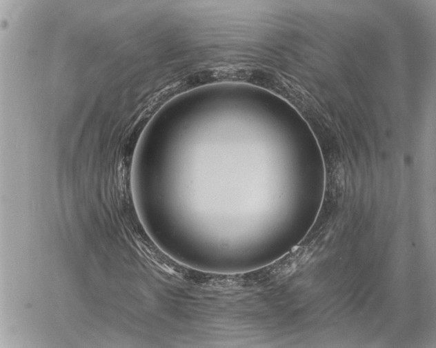 X0000061120914200511181110