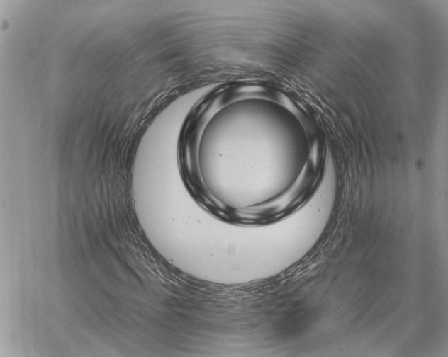 X0000061120916200511181110