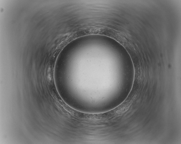 X0000061120962200511181110