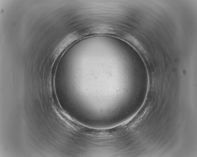 X0000061120986200511181110