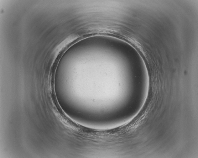 X0000061120987200511181110