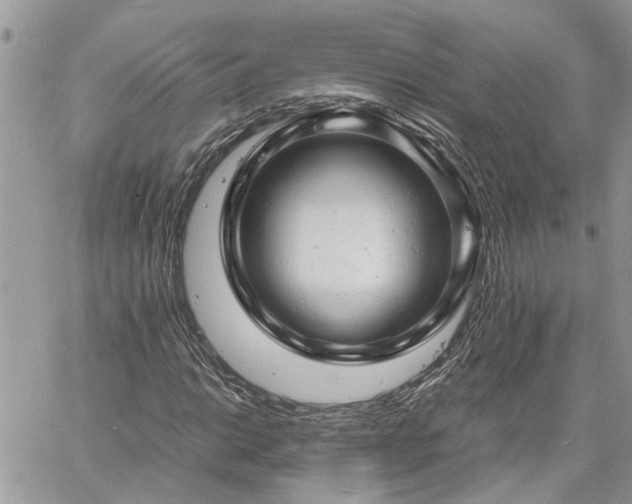 X0000061121014200511181109