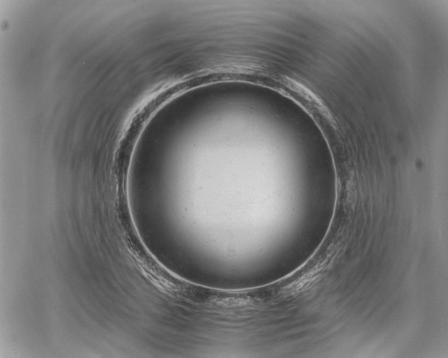 X0000061121027200511181109