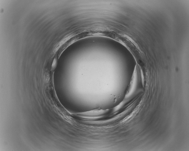 X0000061121065200511181108
